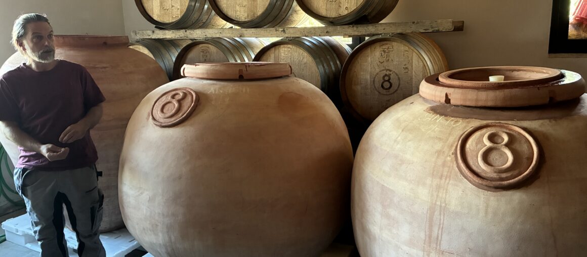 Organic, Biodynamic and Natural Wine: Discover the differences with us!