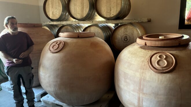 Organic, Biodynamic and Natural Wine: Discover the differences with us!